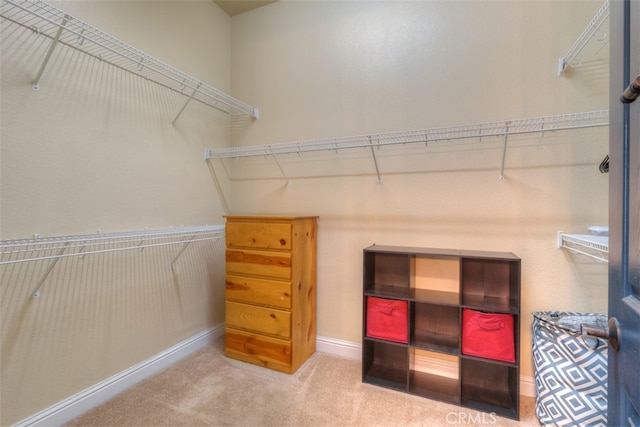 walk in closet with carpet floors