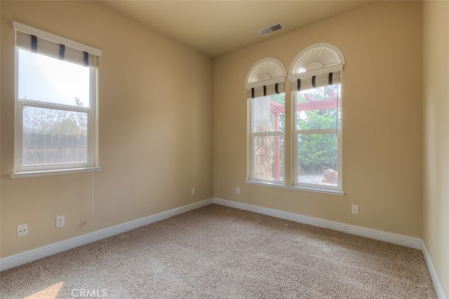 spare room with carpet and plenty of natural light