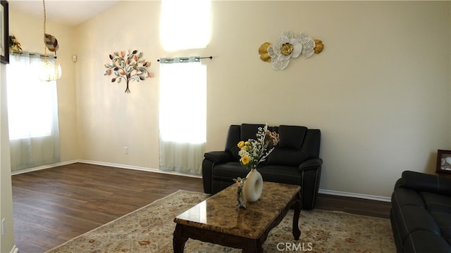 living room featuring dark hardwood / wood-style flooring