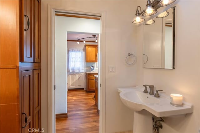 bathroom with hardwood / wood-style floors and rail lighting