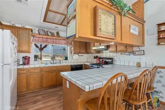 kitchen with tile counters, dishwasher, stainless steel range with gas stovetop, a sink, and freestanding refrigerator