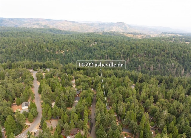 aerial view with a mountain view