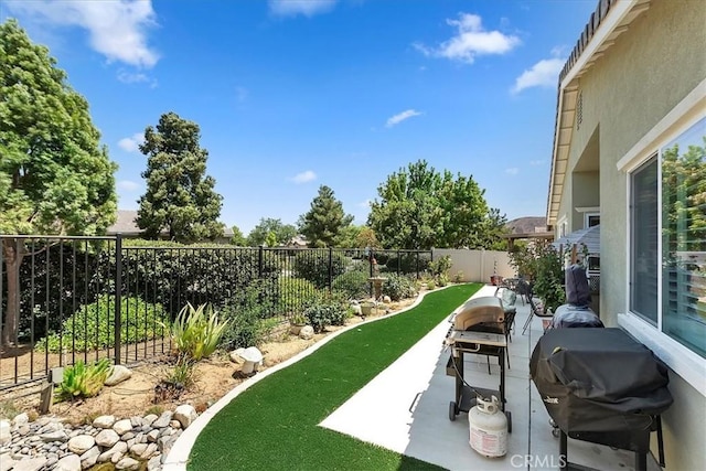 view of yard with a patio area and a fenced backyard