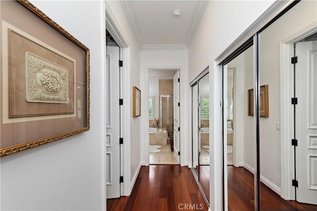 hall featuring ornamental molding and dark wood-type flooring