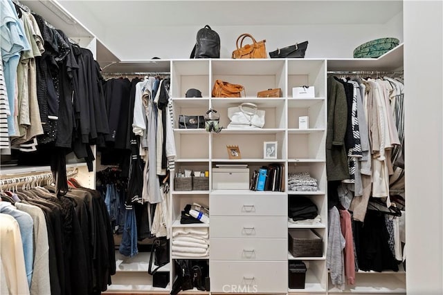 view of spacious closet