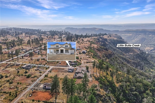 drone / aerial view with a mountain view and a view of trees