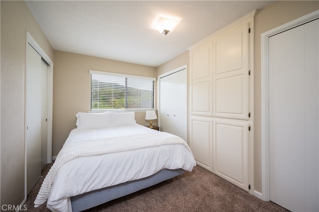 carpeted bedroom with two closets