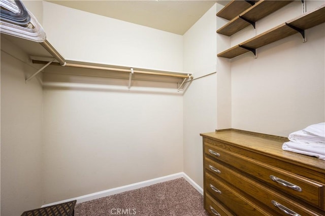 spacious closet with carpet flooring