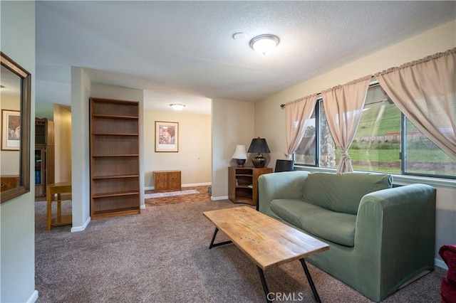 living room with a textured ceiling and carpet flooring