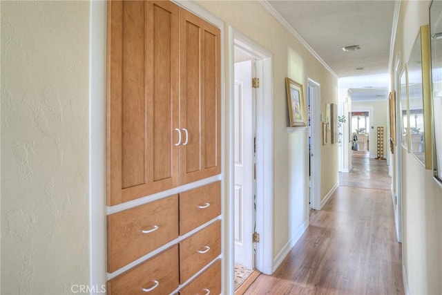 corridor featuring hardwood / wood-style flooring and crown molding