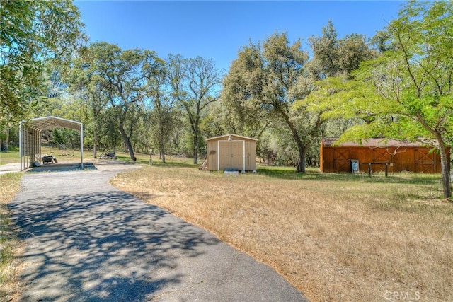 view of yard featuring a carport and a storage unit