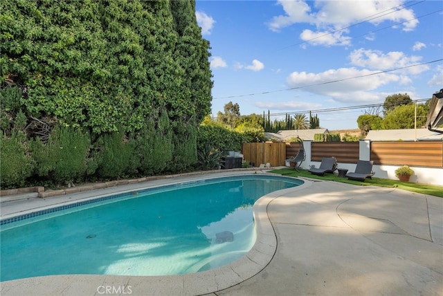 view of pool with a patio