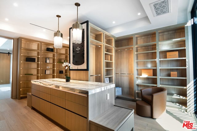 spacious closet with light hardwood / wood-style flooring