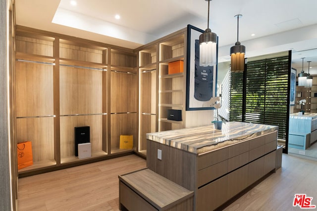 spacious closet featuring light hardwood / wood-style floors