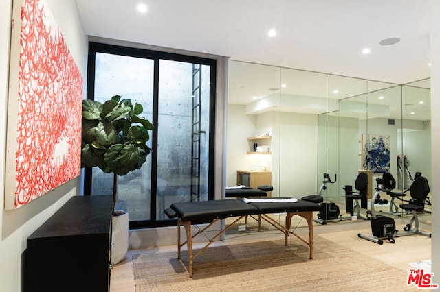 interior space featuring expansive windows and light wood-type flooring