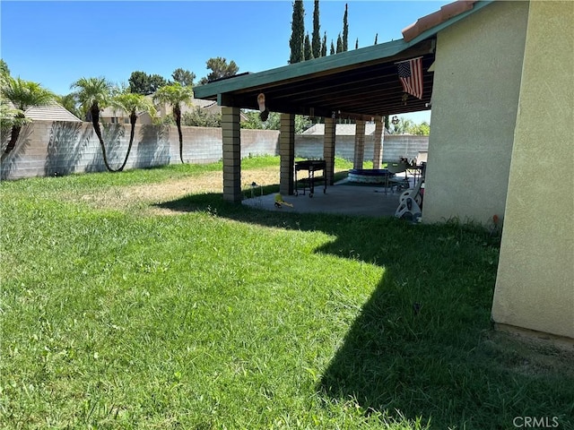 view of yard with a patio