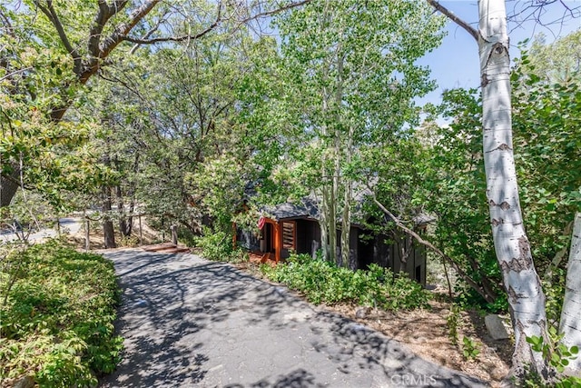 1384 Golden Rule Ln, Lake Arrowhead, CA 92352 - view of front of home