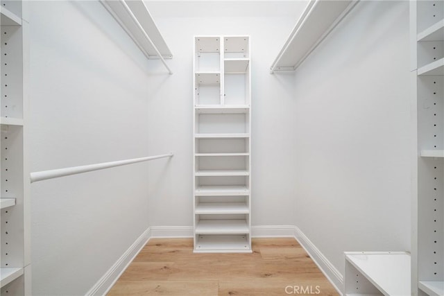 walk in closet featuring light hardwood / wood-style floors