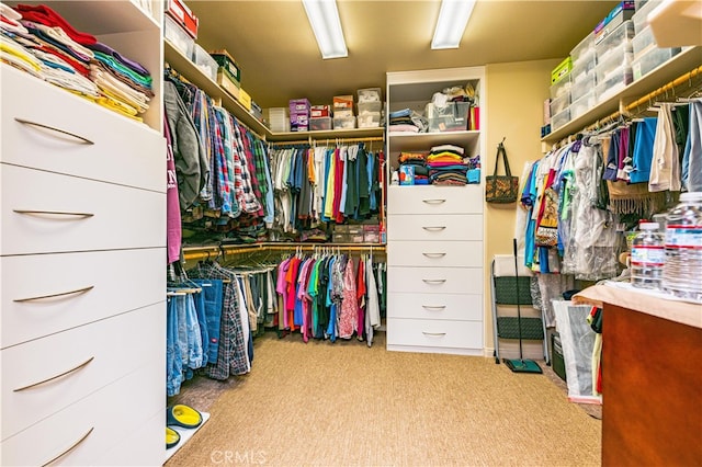 spacious closet with light colored carpet