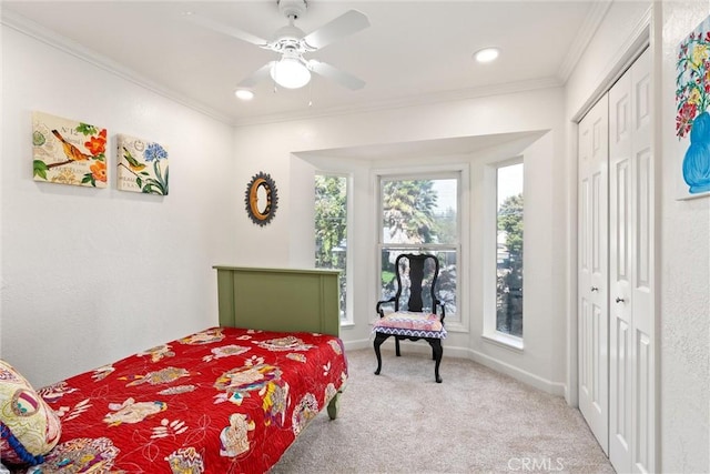 carpeted bedroom featuring ornamental molding, ceiling fan, and a closet