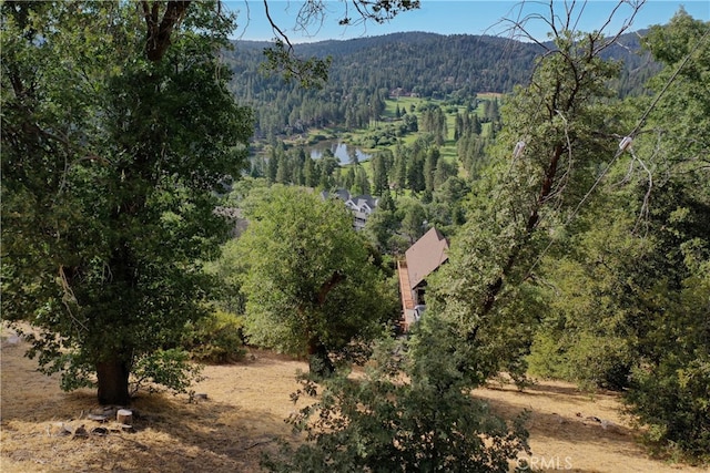 Listing photo 2 for 0 Sonoma Dr, Lake Arrowhead CA 92352