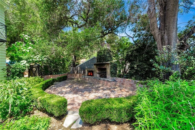 view of yard with a patio area