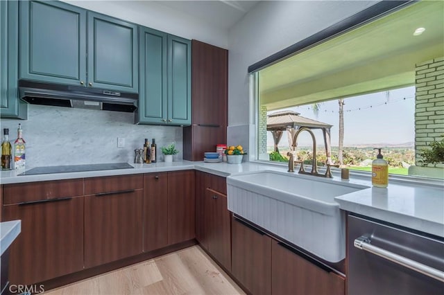 kitchen featuring sink, stainless steel dishwasher, black electric stovetop, light hardwood / wood-style floors, and backsplash