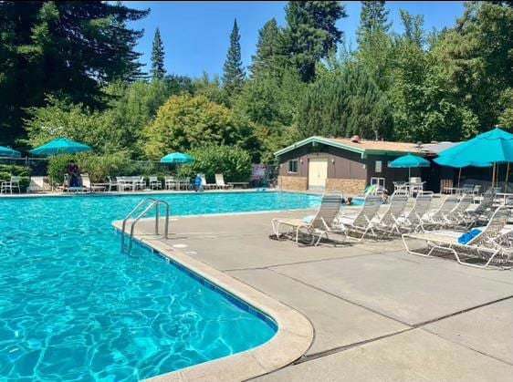 view of pool featuring a patio