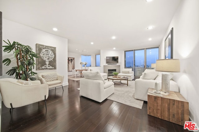 living room featuring expansive windows and dark hardwood / wood-style flooring