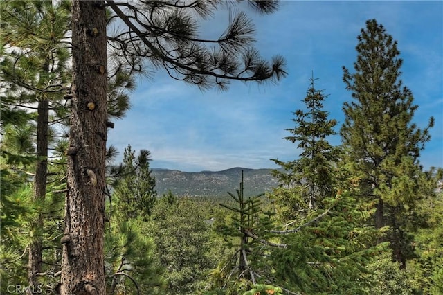 property view of mountains