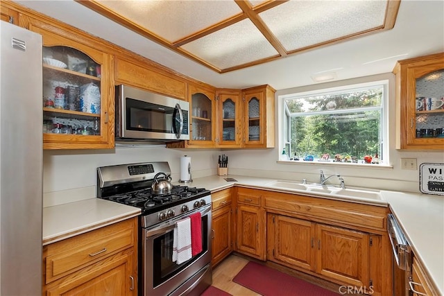 kitchen with sink, stainless steel appliances, and light wood-type flooring