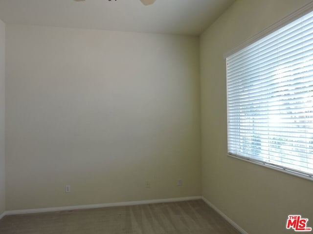 spare room with ceiling fan and carpet flooring