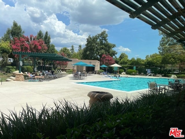 view of swimming pool with a patio and a pergola