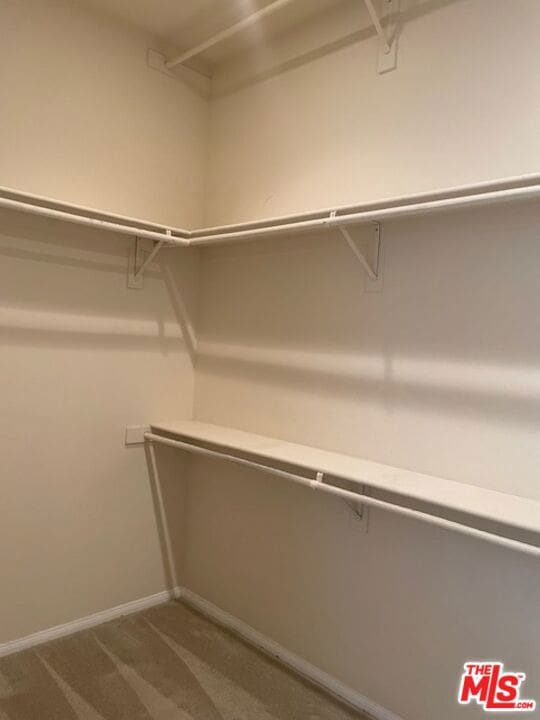 spacious closet featuring carpet floors