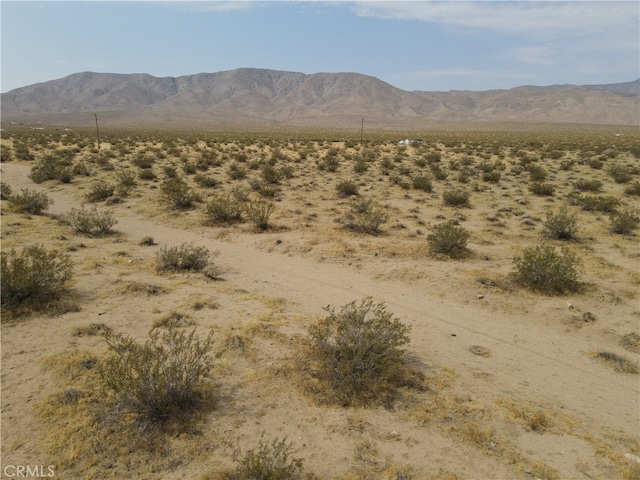 0 Pony Rd, Johnson Valley CA, 92356 land for sale