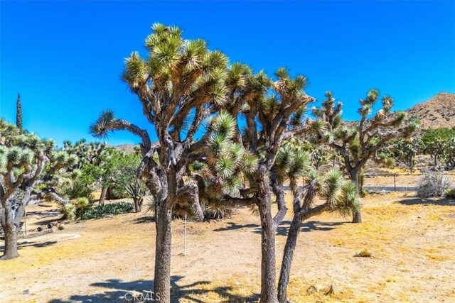 0 Hidden Gold Dr, Yucca Valley, CA 92284 - photo 4