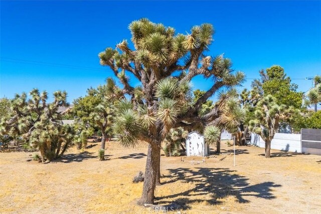 0 Hidden Gold Dr, Yucca Valley, CA 92284 - photo 33