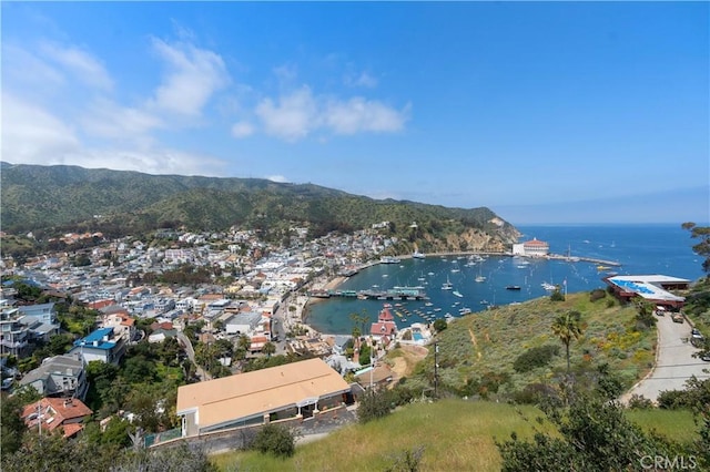 358 Metropole Ave, Avalon, CA 90704 - photo 30