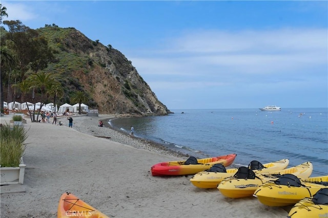 358 Metropole Ave, Avalon, CA 90704 - photo 35