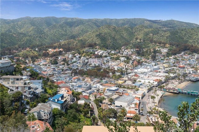 358 Metropole Ave, Avalon, CA 90704 - photo 31