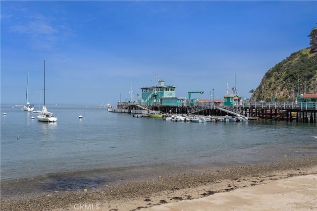 358 Metropole Ave, Avalon, CA 90704 - photo 41