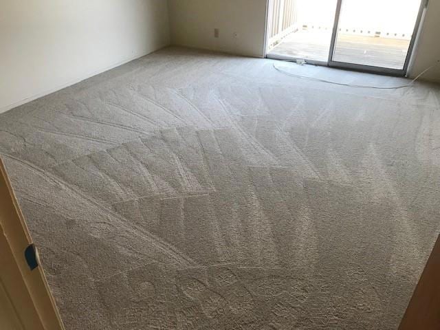 spare room with carpet