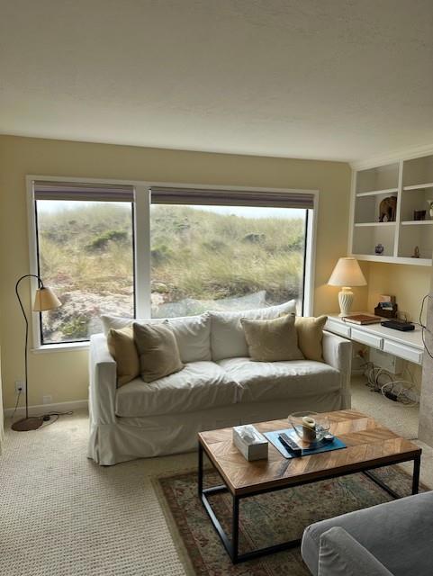 carpeted living room with built in shelves