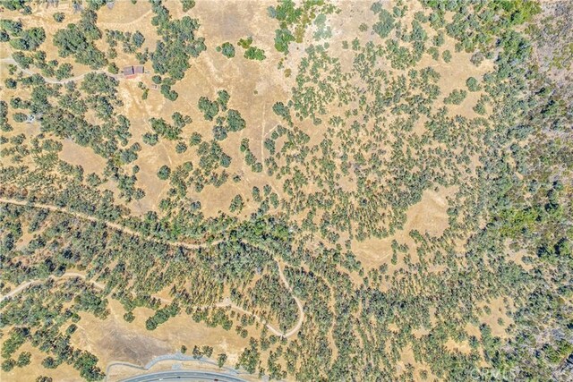 17063 Hofacker Ln, Lower Lake, CA 95457 - photo 7