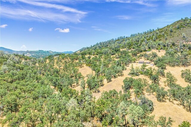 17063 Hofacker Ln, Lower Lake, CA 95457 - photo 5