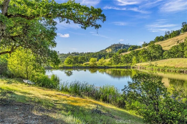17063 Hofacker Ln, Lower Lake, CA 95457 - photo 8