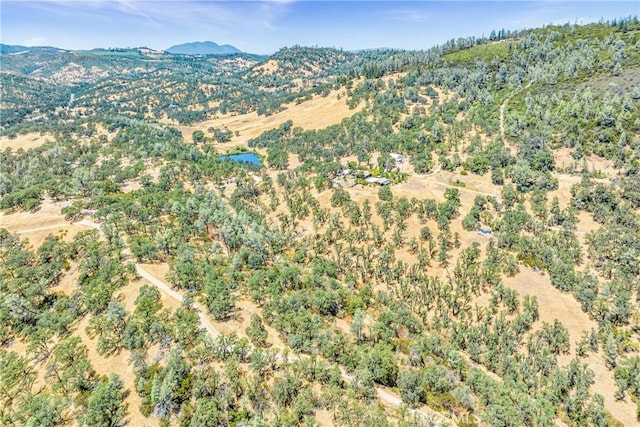 17063 Hofacker Ln, Lower Lake, CA 95457 - photo 2