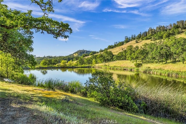 17063 Hofacker Ln, Lower Lake, CA 95457 - photo 3