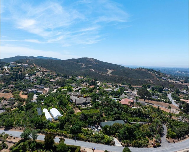 birds eye view of property featuring a mountain view