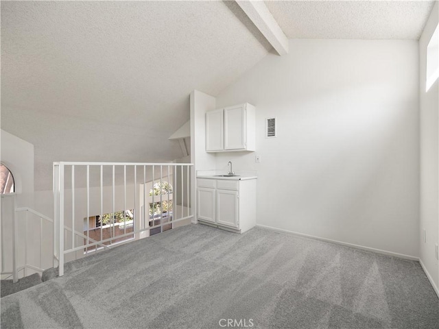 19810 Sandpiper Pl Unit 22, Newhall, CA 91321 - bonus room featuring a sink, a textured ceiling, a healthy amount of sunlight, and light carpet